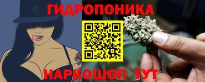 Альфа ПВП Кандалакша