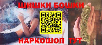 шишки Кингисепп